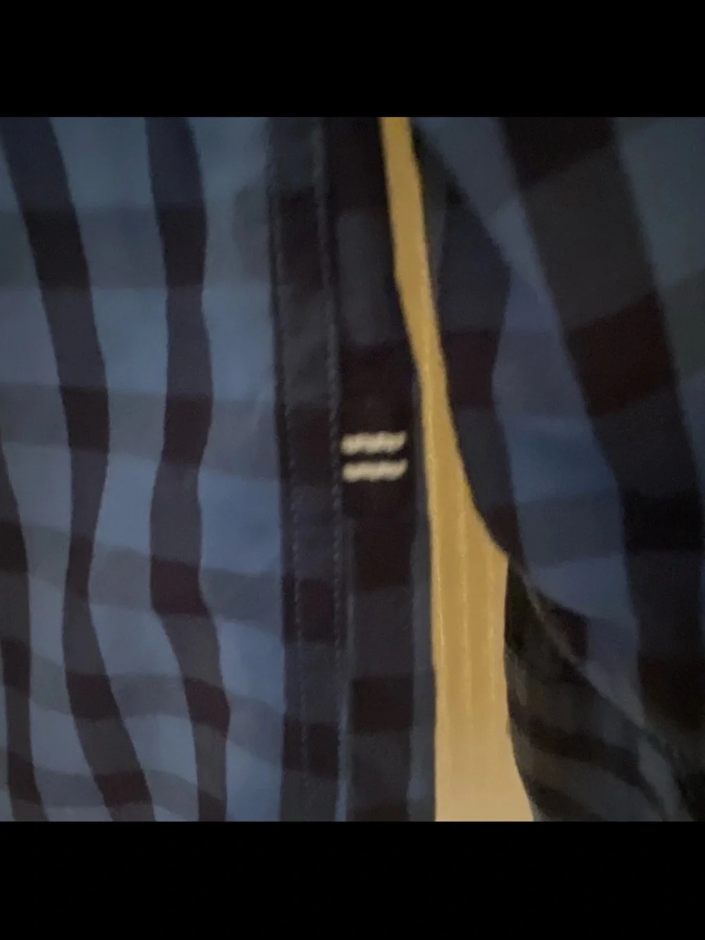 L Men's Blue Check Button-Down Shirt